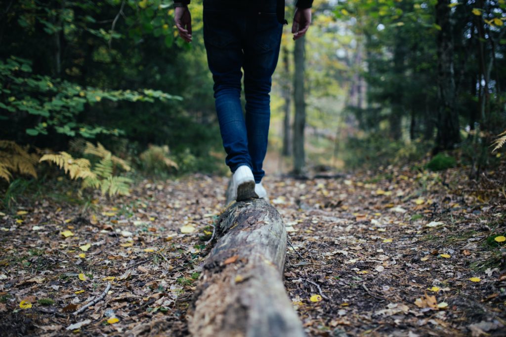 Things to do in Brainerd