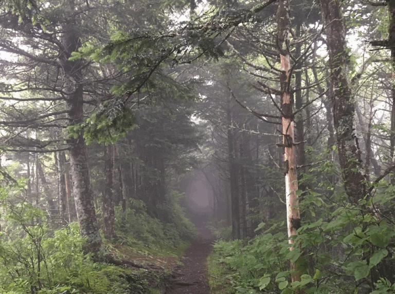 Spooky Hikes & Cabin Getaways