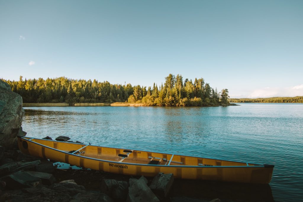 Top Summer in Gull Lake