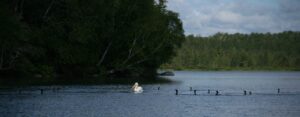 Top 10 Lakes in Minnesota